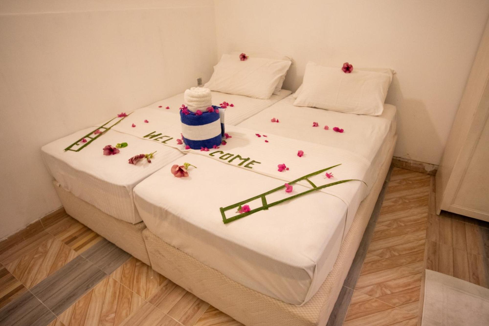 Ihaven गेस्ट हाउस